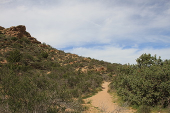 Enlarge photo 18