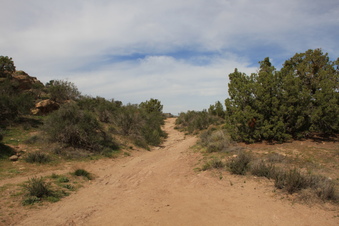 Enlarge photo 16