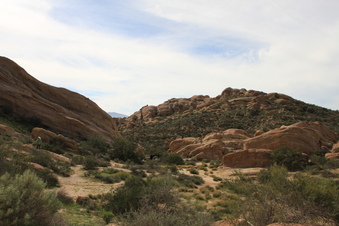 Enlarge photo 13