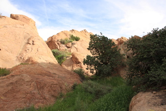 Enlarge photo 6