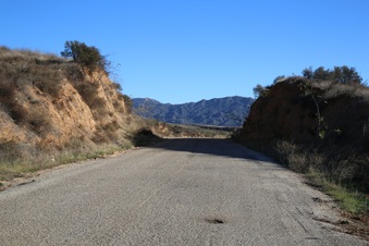 Enlarge photo 34