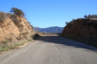 Enlarge photo 35