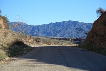 Enlarge photo 36
