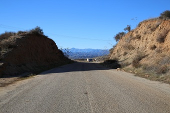 Enlarge photo 37