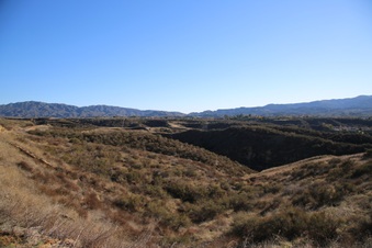 Enlarge photo 41