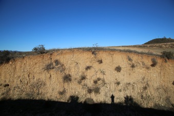 Enlarge photo 47