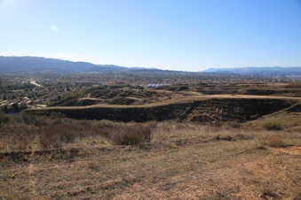 Enlarge photo 50