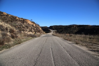 Enlarge photo 53
