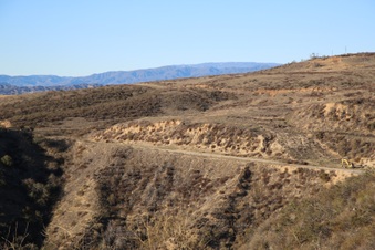 Enlarge photo 70