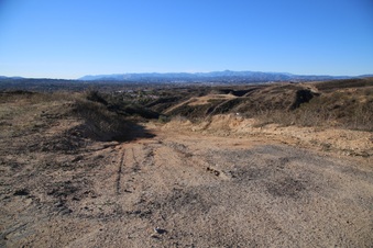 Enlarge photo 71