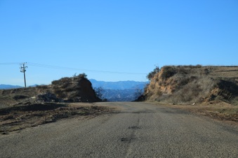 Enlarge photo 105