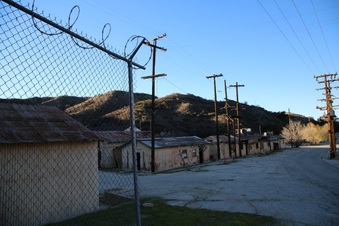 Enlarge photo 137