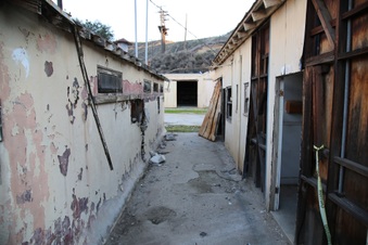 Enlarge photo 146