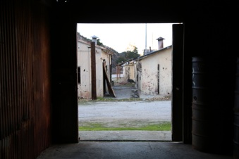 Enlarge photo 159