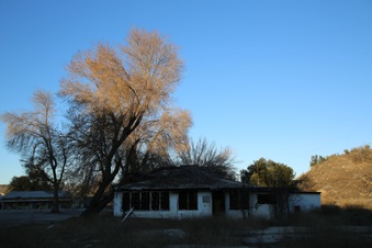 Enlarge photo 207