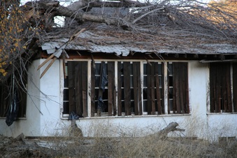 Enlarge photo 210