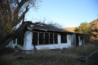 Enlarge photo 211