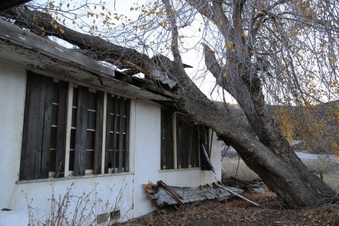 Enlarge photo 218