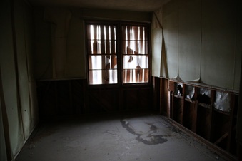 Enlarge photo 225