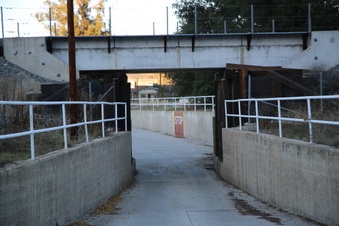 Enlarge photo 253