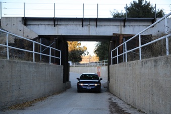 Enlarge photo 263
