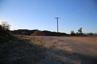 Enlarge photo 265