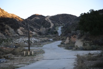 Enlarge photo 269