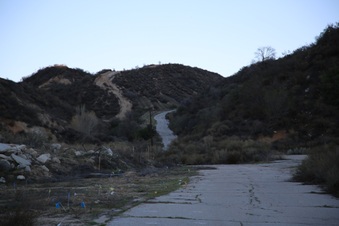 Enlarge photo 274