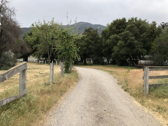 Enlarge photo 6