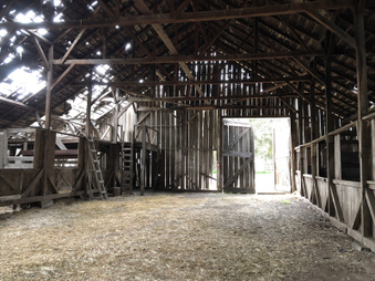 Enlarge photo 139