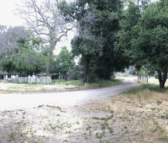 Enlarge photo 141