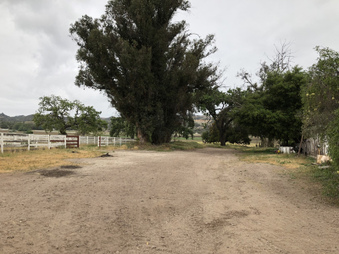 Enlarge photo 159