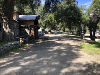 Enlarge photo 43