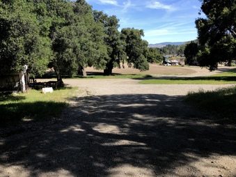 Enlarge photo 44