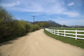 Enlarge photo 137