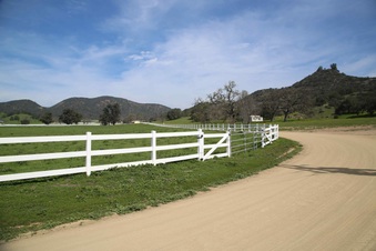 Enlarge photo 138