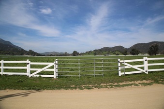 Enlarge photo 139