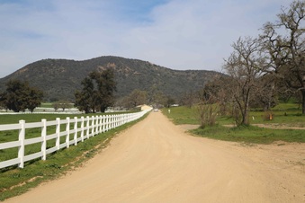 Enlarge photo 140