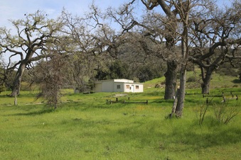 Enlarge photo 141