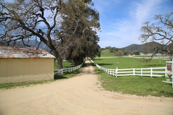 Enlarge photo 143