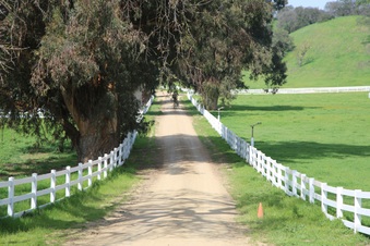 Enlarge photo 144