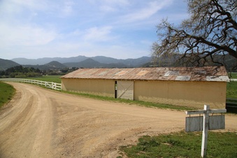 Enlarge photo 145