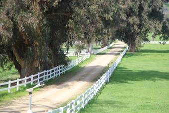 Enlarge photo 146