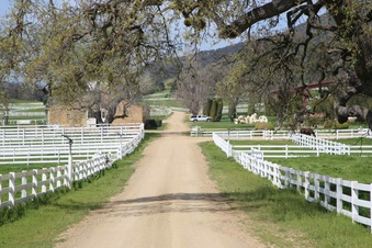 Enlarge photo 148