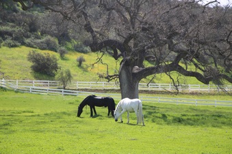 Enlarge photo 149