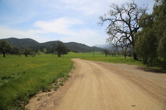 Enlarge photo 150