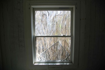 Enlarge photo 186