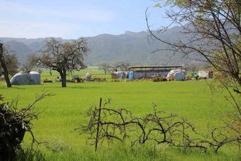 Enlarge photo 191