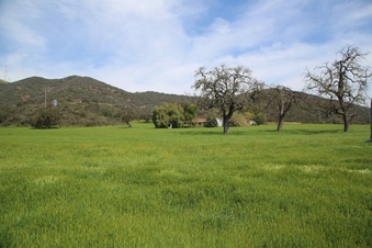 Enlarge photo 194