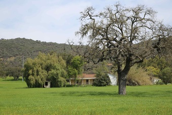 Enlarge photo 195